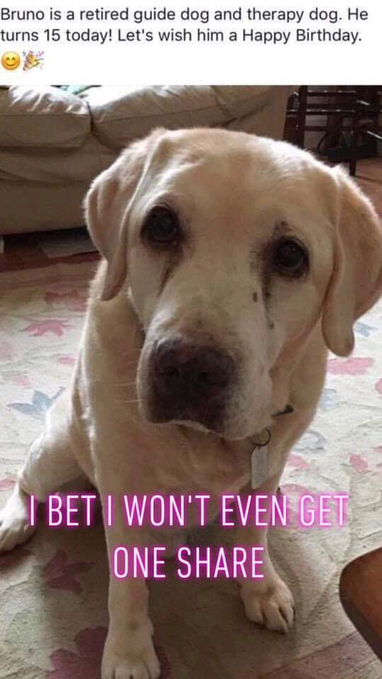 Happy 15th birthday sweetie 🎂🧁♥️