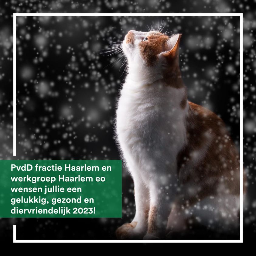 PvdDHaarlem's tweet photo. Wij wensen jullie een goed, gezond en diervriendelijk 2023! https://t.co/T62JF5PCYg