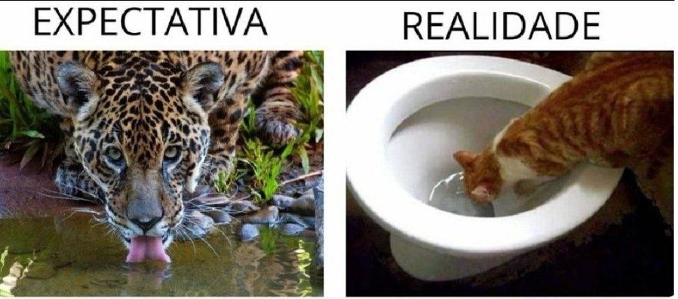 <a href="/exercitooficial/">Exército Brasileiro 🇧🇷</a> 😔 😔  SELVA !