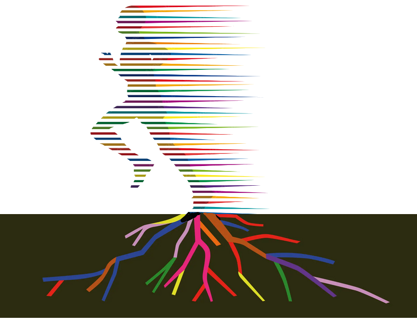 Global Skills Network tweet media