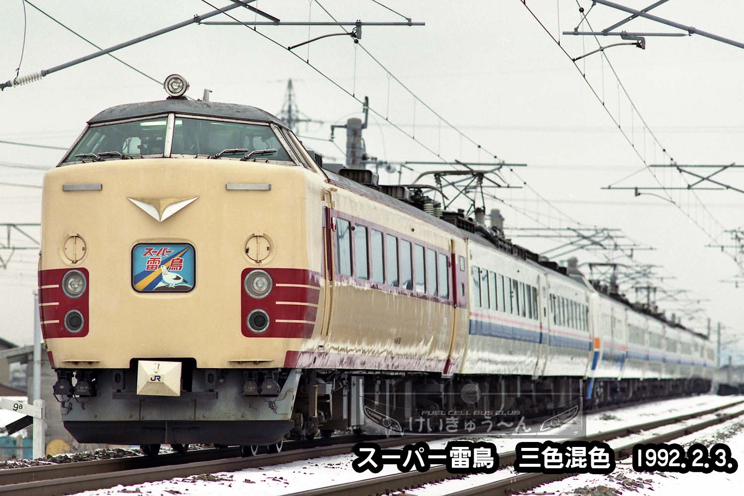Y♢499 まー　九州送料込み しげさん on X: 