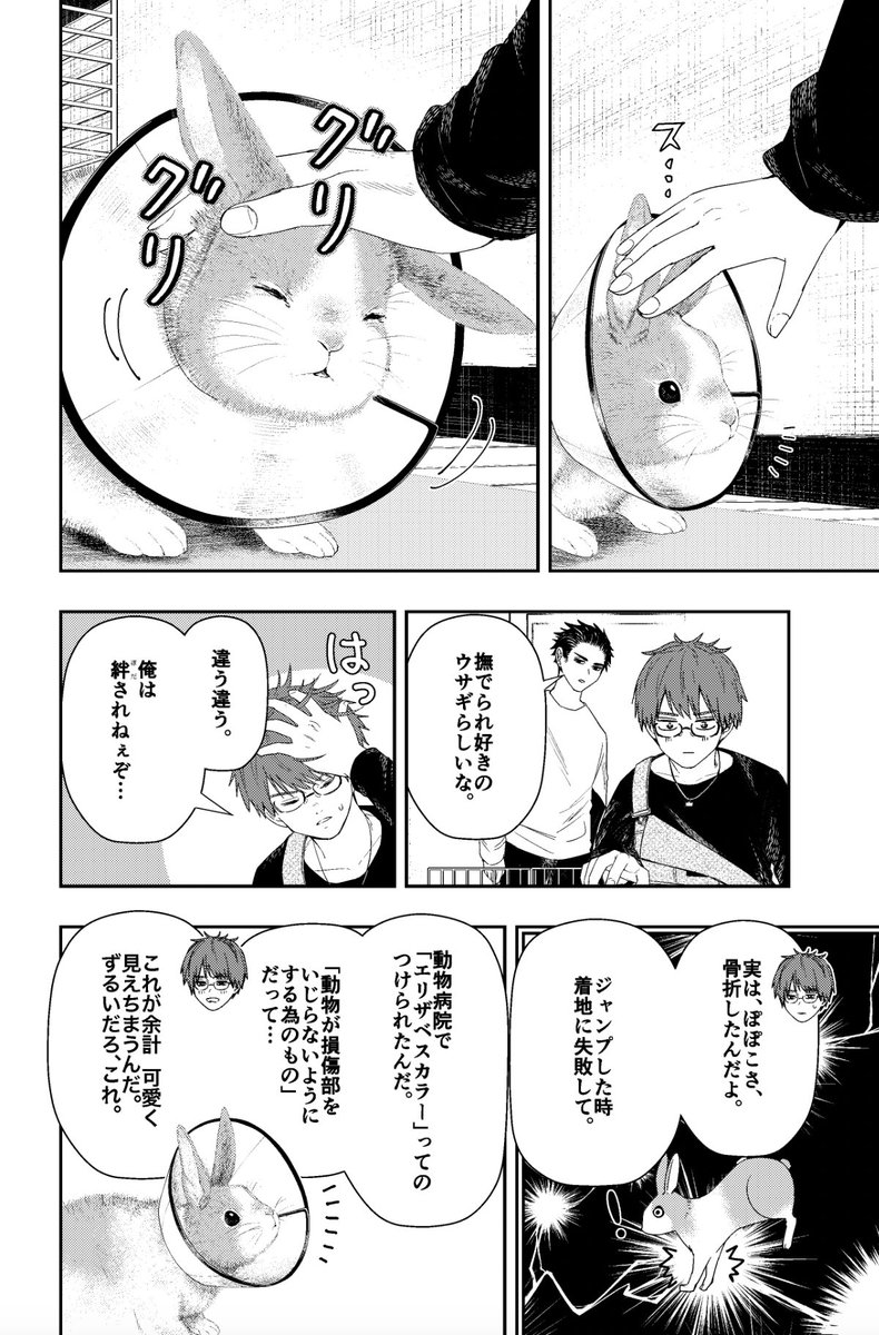 うさぎじゃん🐰
1/4
#漫画が読めるハッシュタグ 
#HappyNewYear 