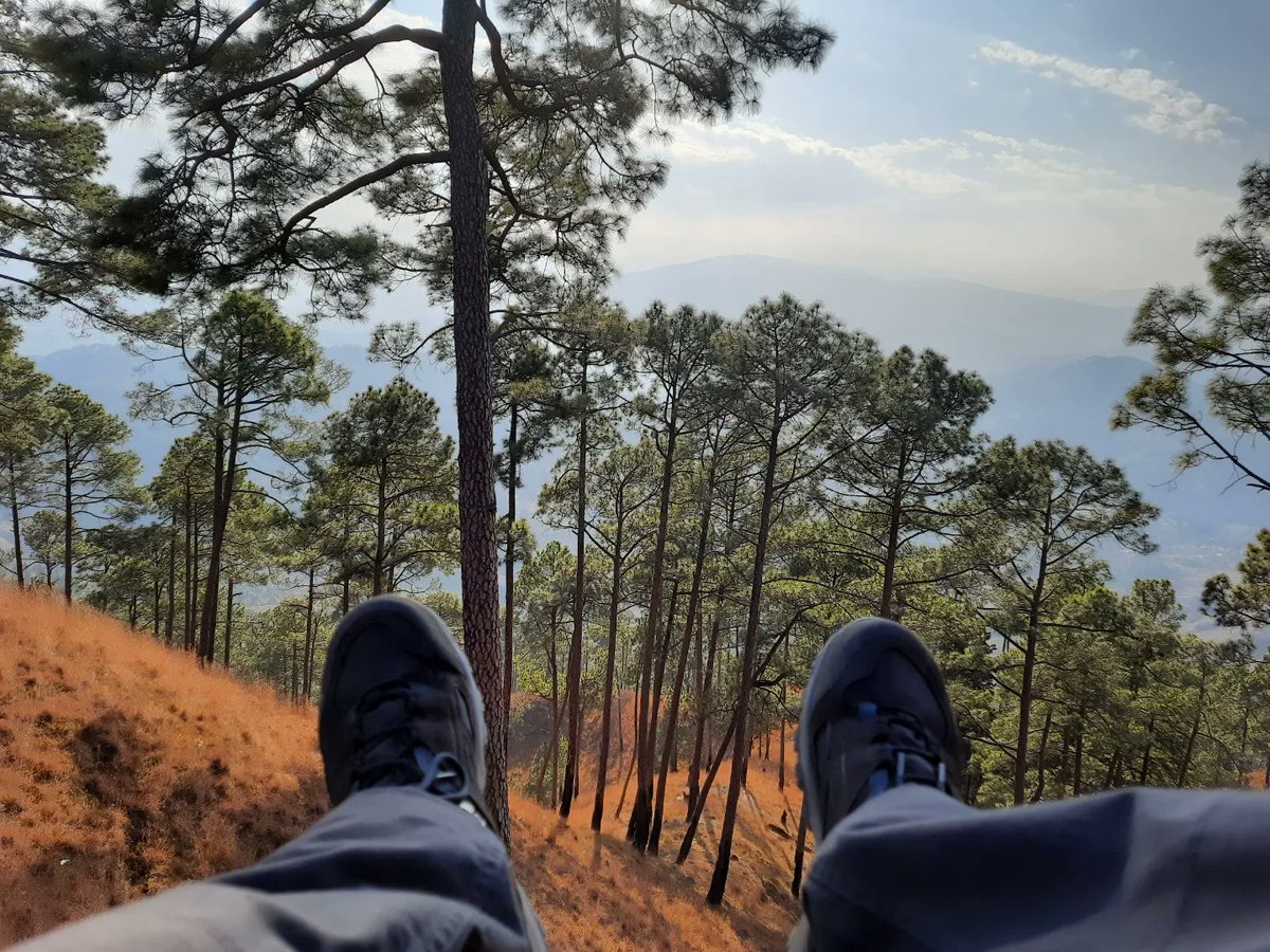 ShDhar13's tweet photo. Come chase the sunset with me!
#KasarDevi is endowed with a cosmic energy similar to that of UK’s #Stonhenge and Peru’s #MachuPicchu
There’s nothing quite like being one with yourself amidst a postcard-perfect landscape rewarding greater level of  rejuvenation and inner healing. https://t.co/6MuvCN7xC6