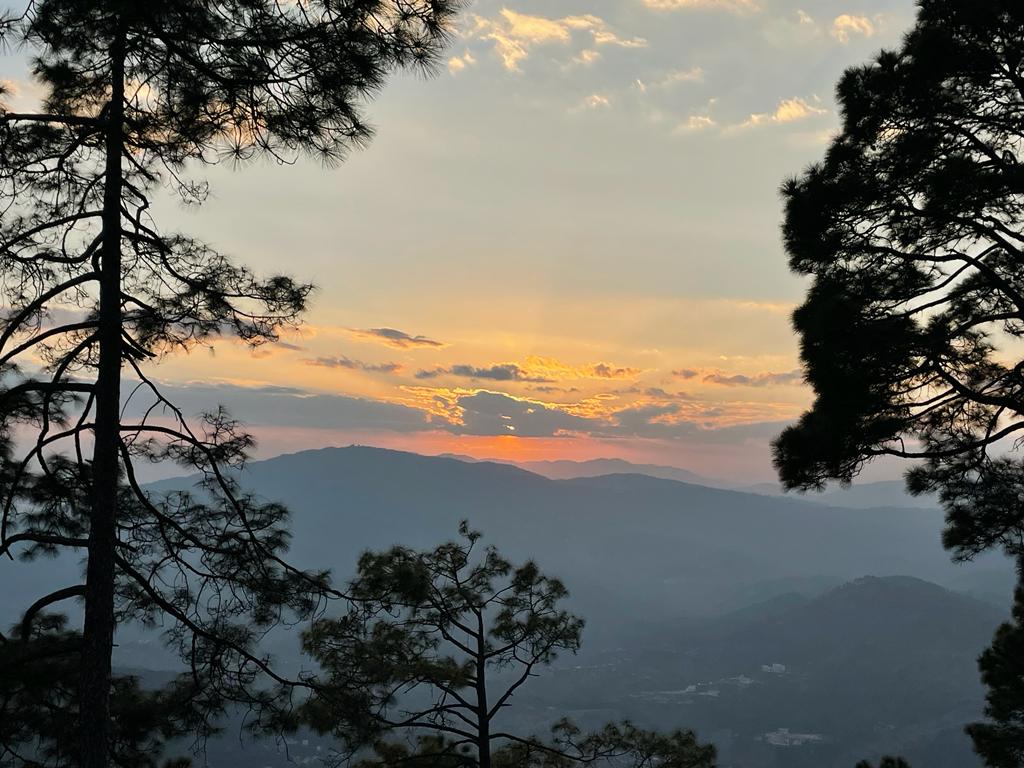 ShDhar13's tweet photo. Come chase the sunset with me!
#KasarDevi is endowed with a cosmic energy similar to that of UK’s #Stonhenge and Peru’s #MachuPicchu
There’s nothing quite like being one with yourself amidst a postcard-perfect landscape rewarding greater level of  rejuvenation and inner healing. https://t.co/6MuvCN7xC6