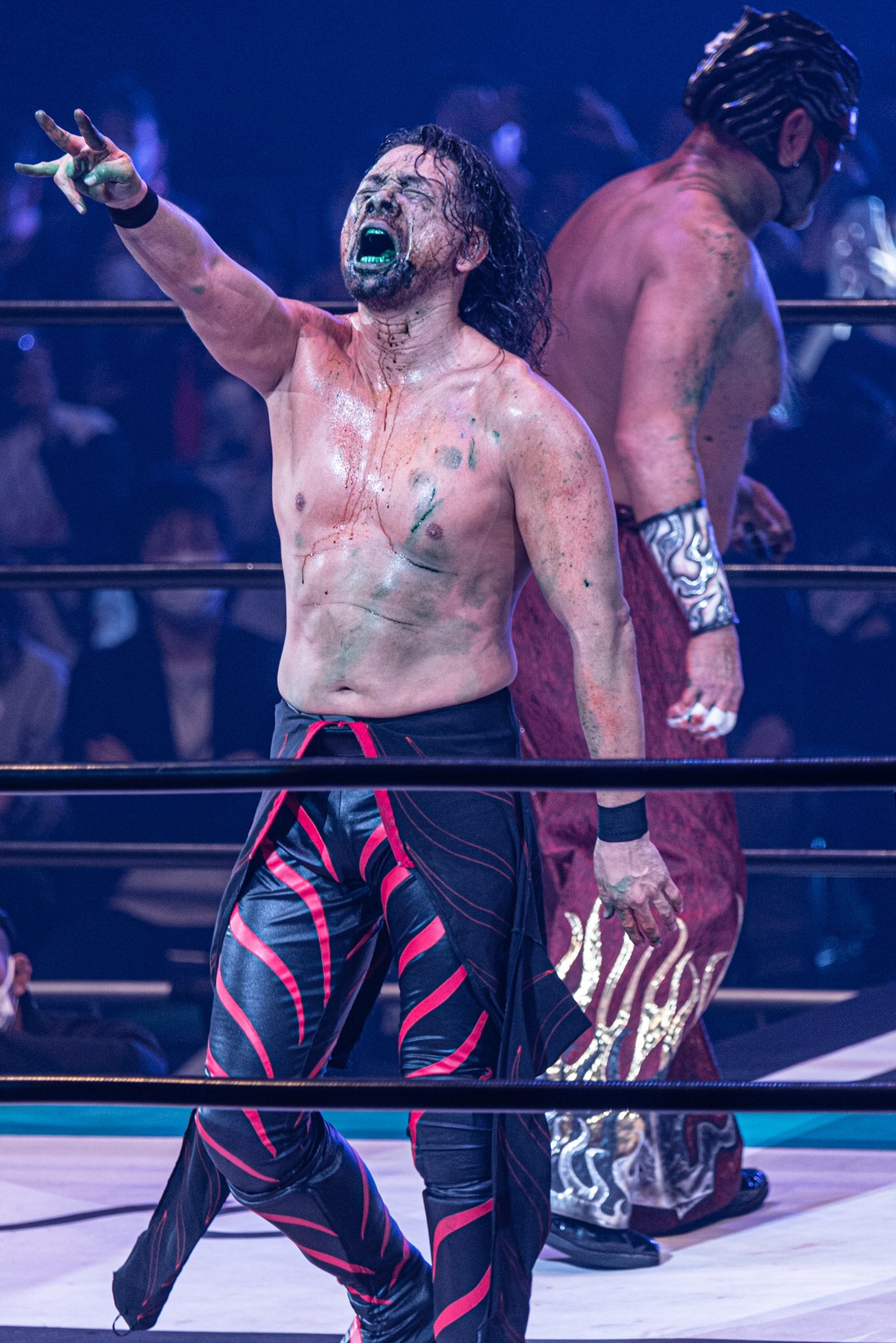未開封フィギュア 長州 蝶野 橋本 ムタ 中邑真輔 137731.jpg
