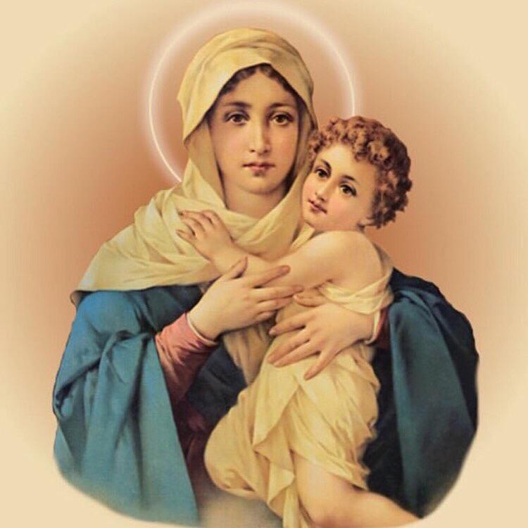 Mary, mother of God, pray for us🙏🏽