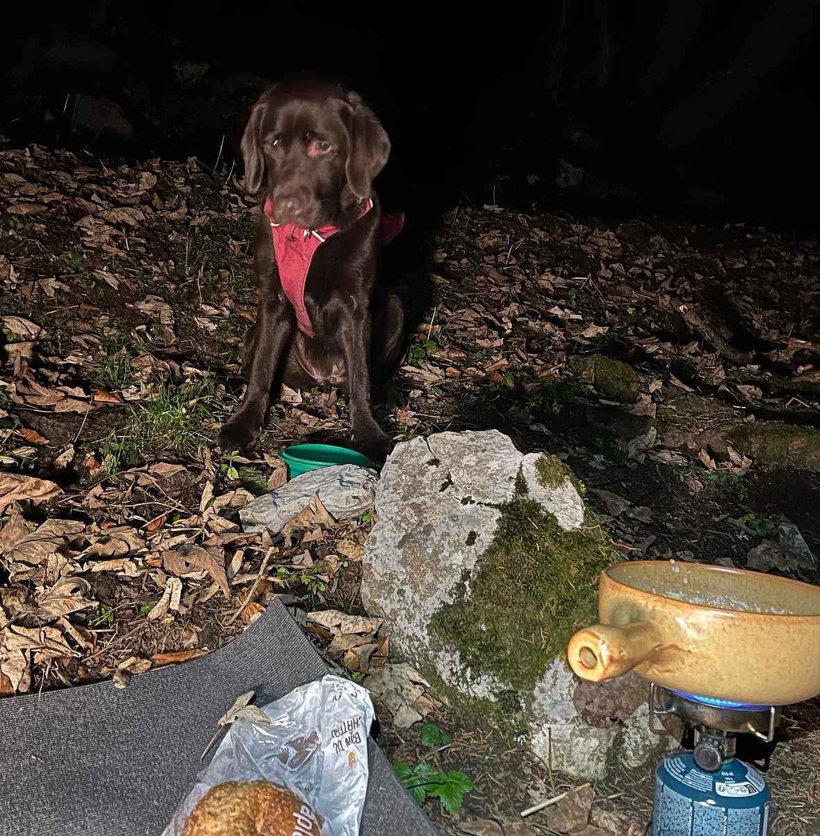 AdventurousdogY's tweet photo. Ca pourrait s’apparenter à du #lhth mais une seule nuit de réveillon en #hypoxie c’est un peu court et en plus je dormais trop bas (1500m)… décidément c’est difficile d’appliquer les recommandations😜 https://t.co/kQRm1TMF6l