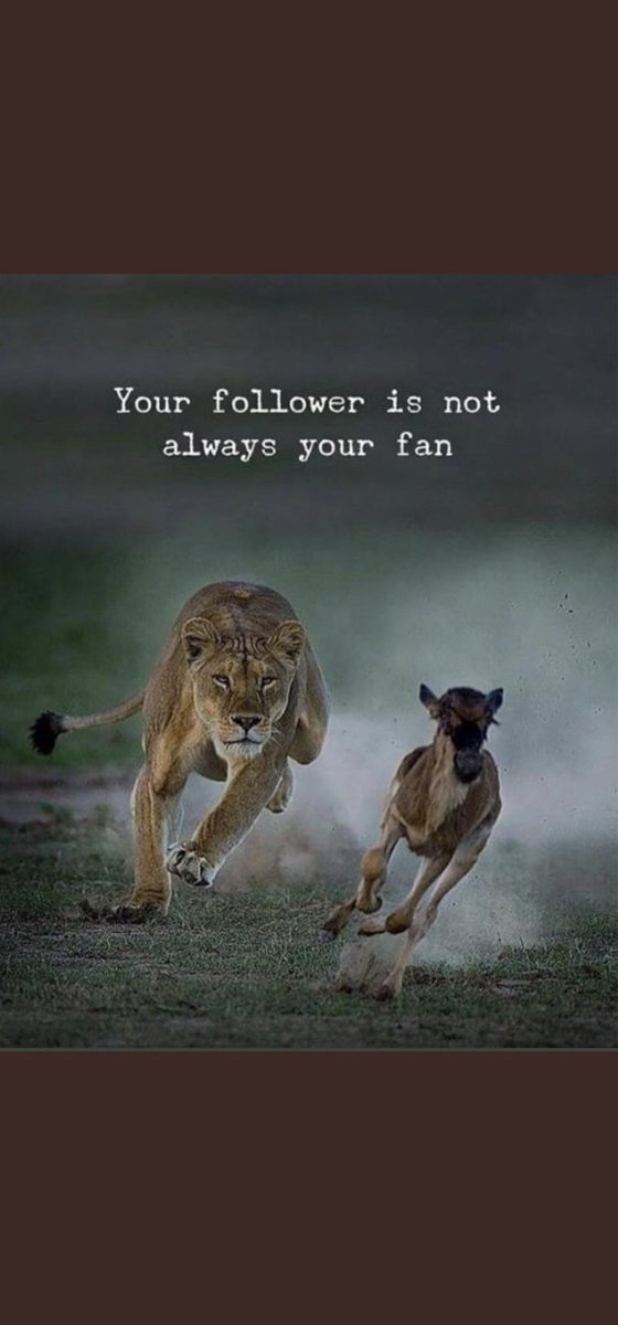 MujeebHassani's tweet photo. https://t.co/GSVKWiOdEK