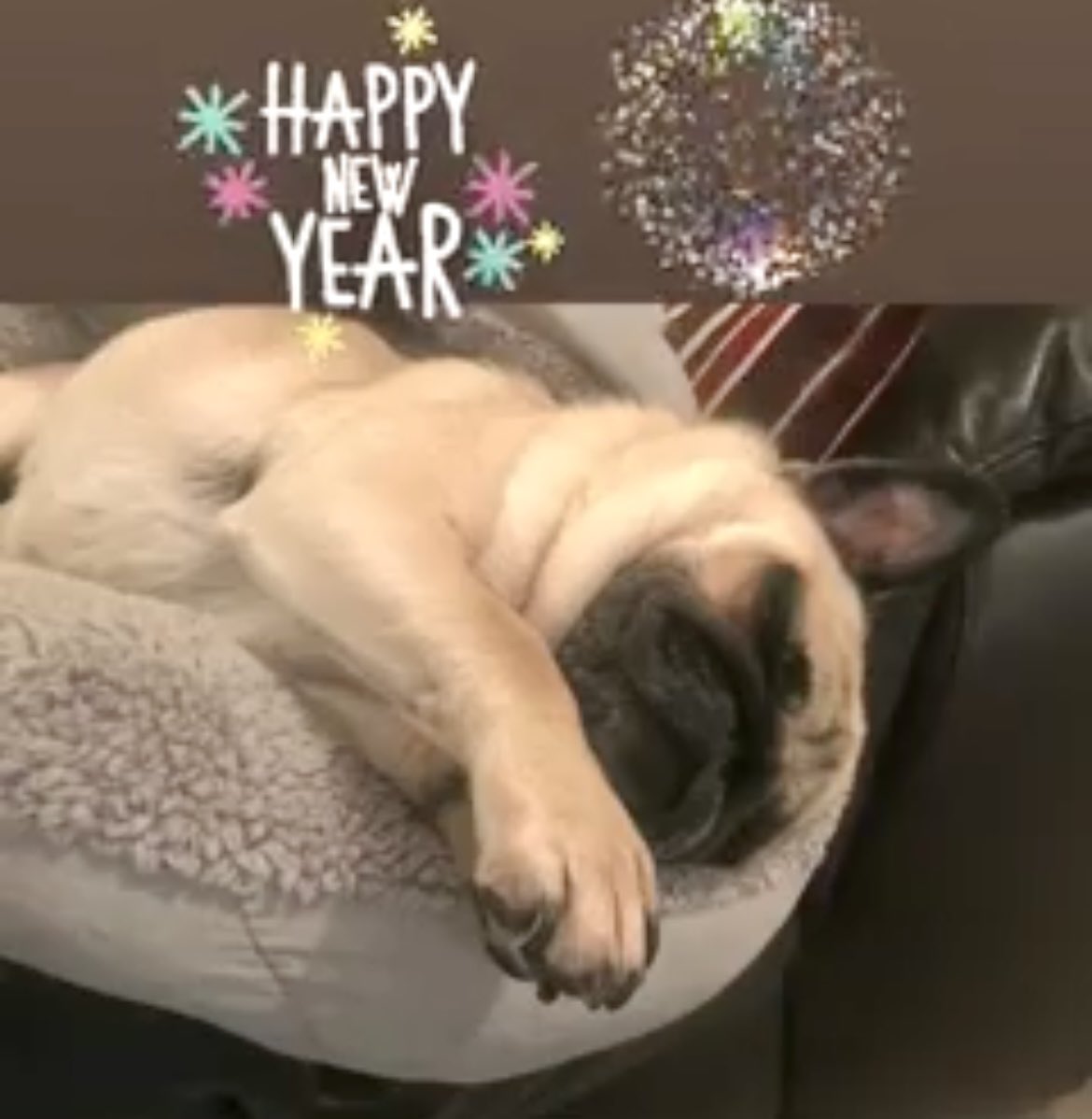 Happy 2️⃣0️⃣2️⃣3️⃣to all who see this. Wishing you all a healthy and happy year! 🎊❤️