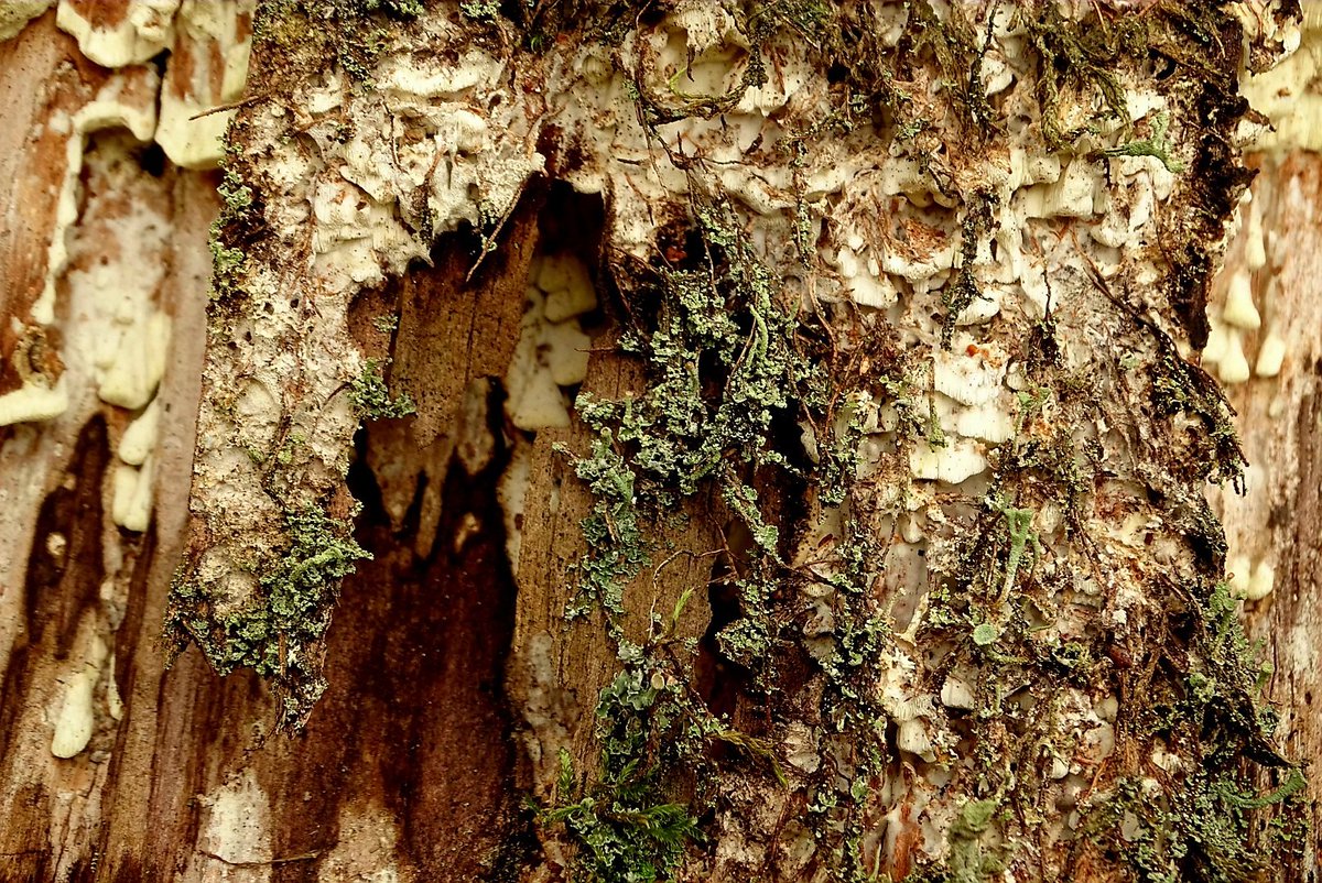 Nieuwjaarsommetje met <a href="/hansvdlinden/">Hans van der Linden</a> #Zandenbosch