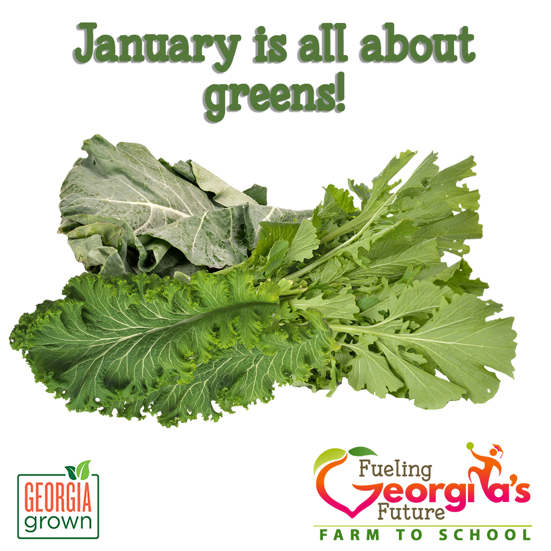 The Georgia Harvest of the Month feature item for January is greens. 🥗

Visit bit.ly/GaHOTM for resources for celebrating #HarvestoftheMonth and growing your #FarmToSchool program. While there check out our #FoodBasedLearning Lessons too!

#FuelingGA #GeorgiaGrown