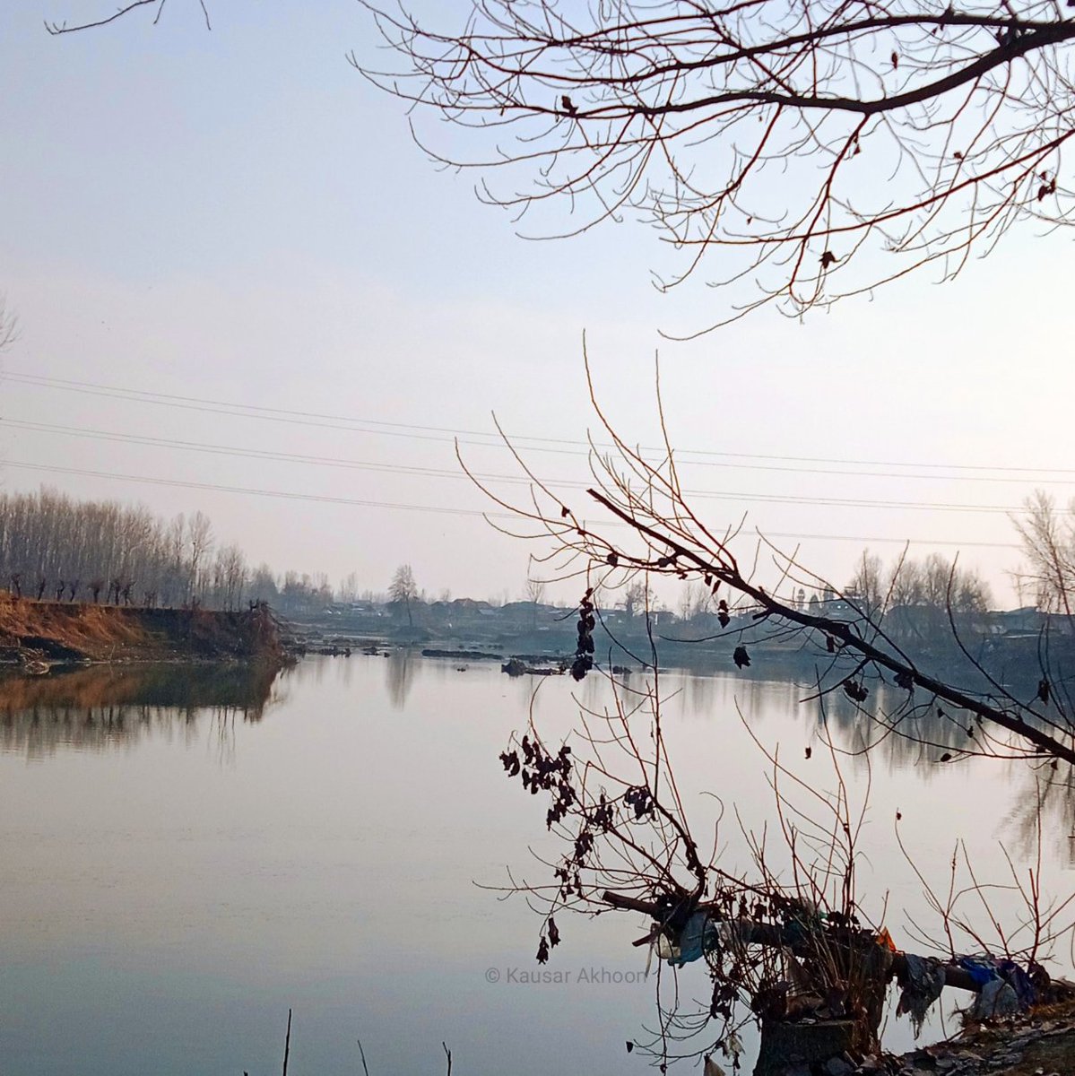 kausarakhoons's tweet photo. "In the cold dark days of winter, dream about the flowers to get warmed up! ~Mehmet Murat Ildan
*
PC 📸: @kausarakhoons 
*
*
*
#srinagar #kashmir #kashmirvalley #coldweather #winter #cold #snowfall #TwitterNatureCommunity https://t.co/yxJHZGtrw3