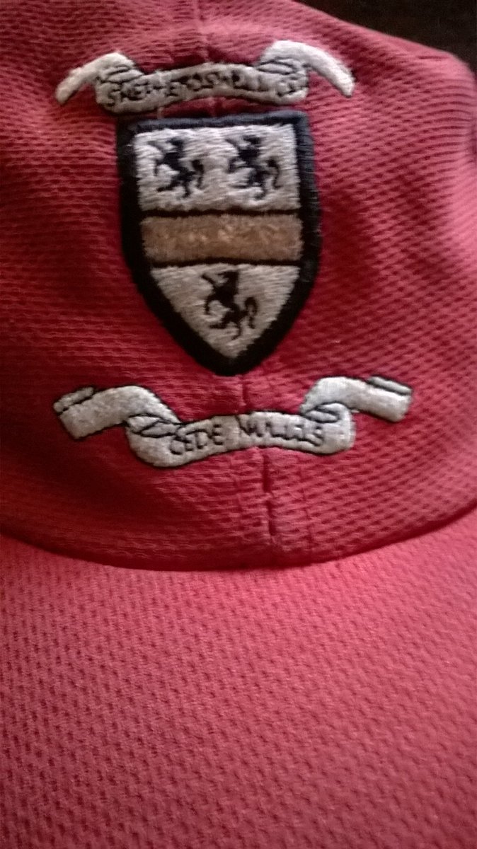 Shepherdswell CC tweet media