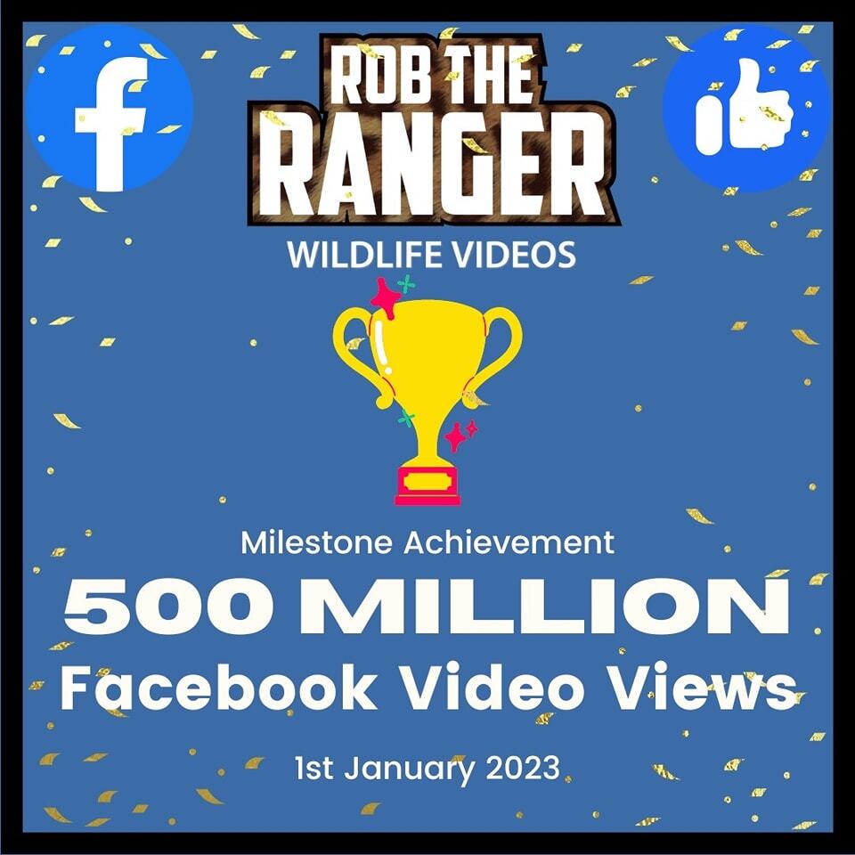 Robtheranger's tweet image. Happy New Year Everyone, and thank you all so much for watching! 
Half a billion views us an insane number! Thank you all again and may this new year bring you all you wish for!
#robtheranger #viewsmilestone #500million #happynewyear #thankyou instagr.am/p/Cm3xy0Dj_72/