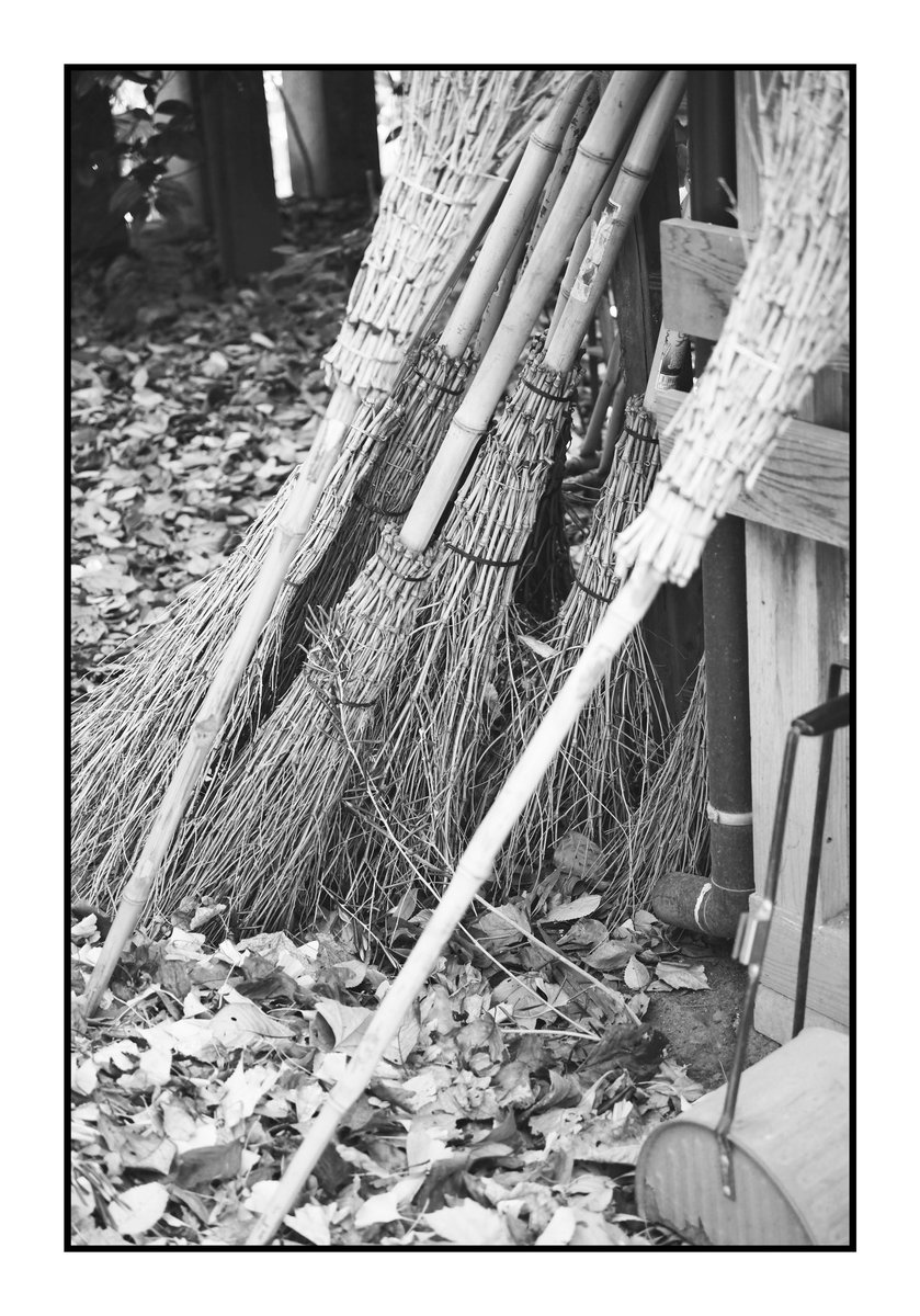 ipd1967's tweet image. Brooms #blackandwhitephotography #streetphotography