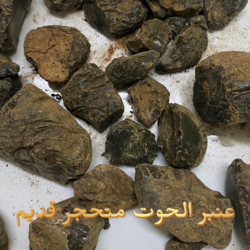 عنبر الحوت المتحجر للتواصل +96555540099