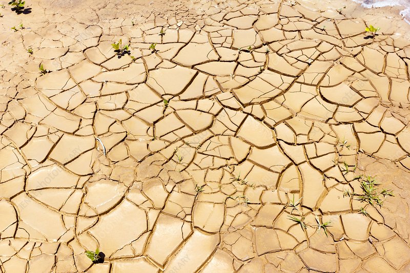 13. 800 million years from now, because of the sun's increasing luminosity, most of earth will have 
