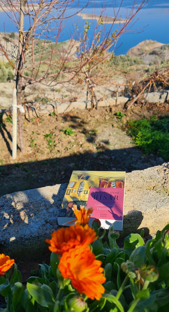 #ÇamlıcadakiEniştemiz #AbdülhakŞinasiHisar #Kitap