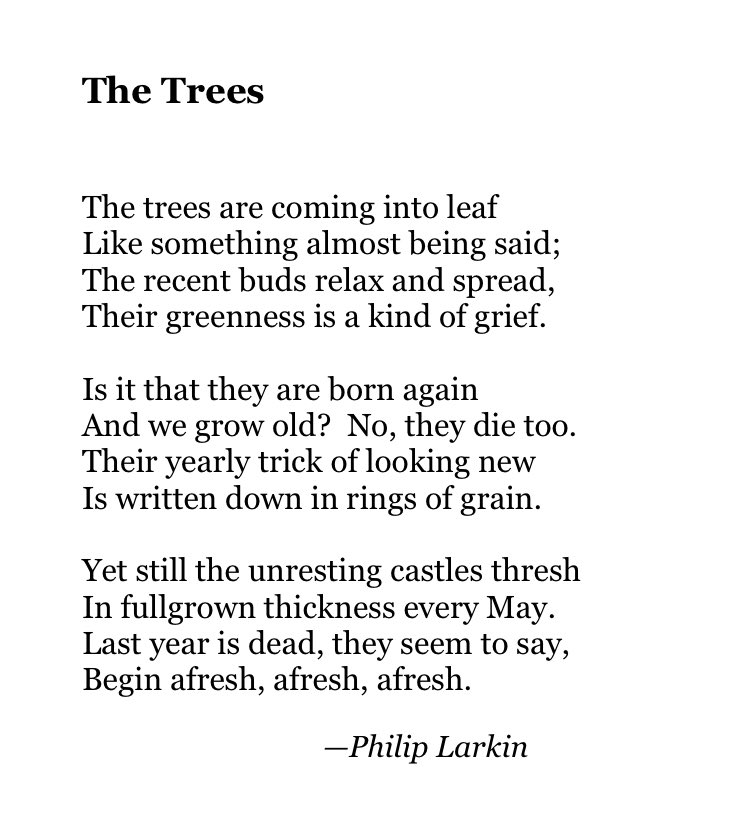 Joseph_Fasano_'s tweet image. Today's poetry thread:  EMERGENCE

Slowly, sometimes hopelessly, we become ourselves.    

Feel free to add poems.
