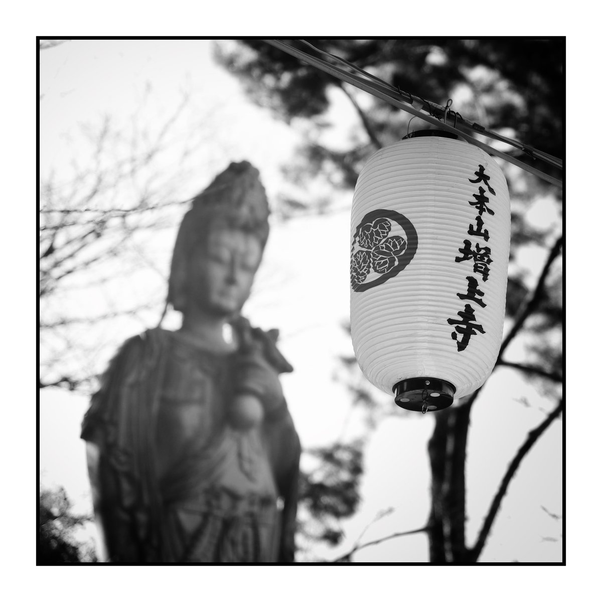 ipd1967's tweet image. Zojoji #temple #blackandwhitephotography #tokyo #japan #streetphotography