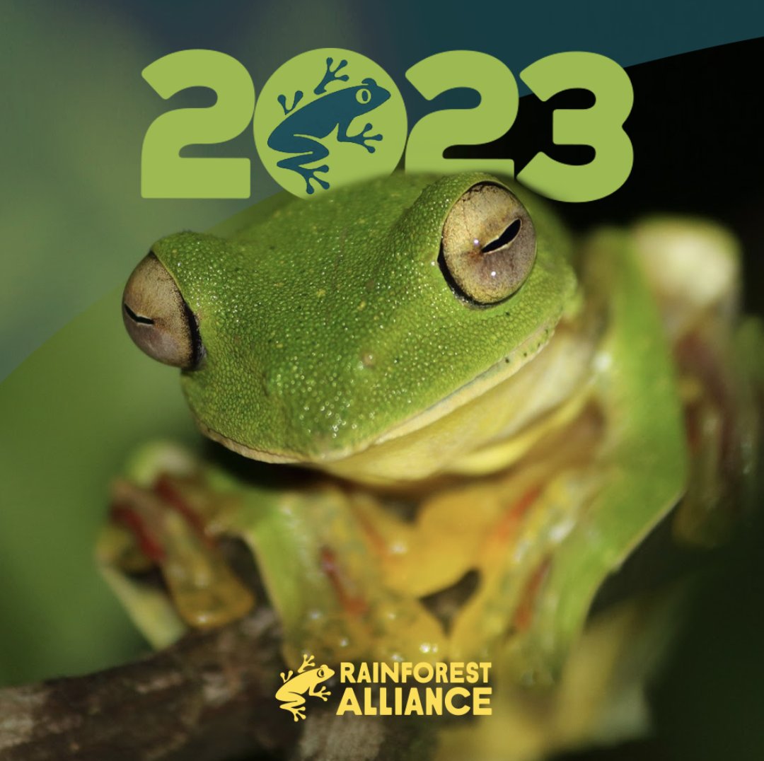 From all of us here at the Rainforest Alliance, happy new year and best wishes for 2023 🐸💚