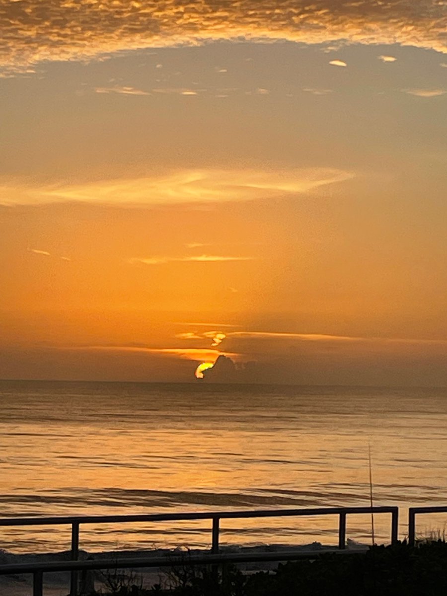 Adam M.D. tweet media