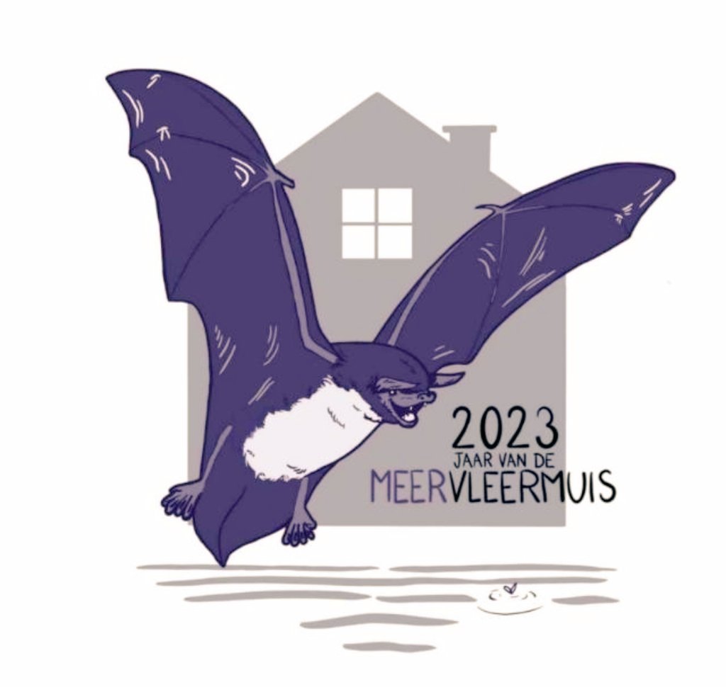 De <a href="/Zoogdierverenig/">Zoogdiervereniging</a> heeft 2023 uitgeroepen tot het Jaar van de Meervleermuis. Het is een typische diersoort voor uitgestrekte meren, kanalen en moerassen waar Nederland zo rijk aan is. De meervleermuis is daarmee een echt Nederlands boegbeeld, een soort grutto van de nacht!