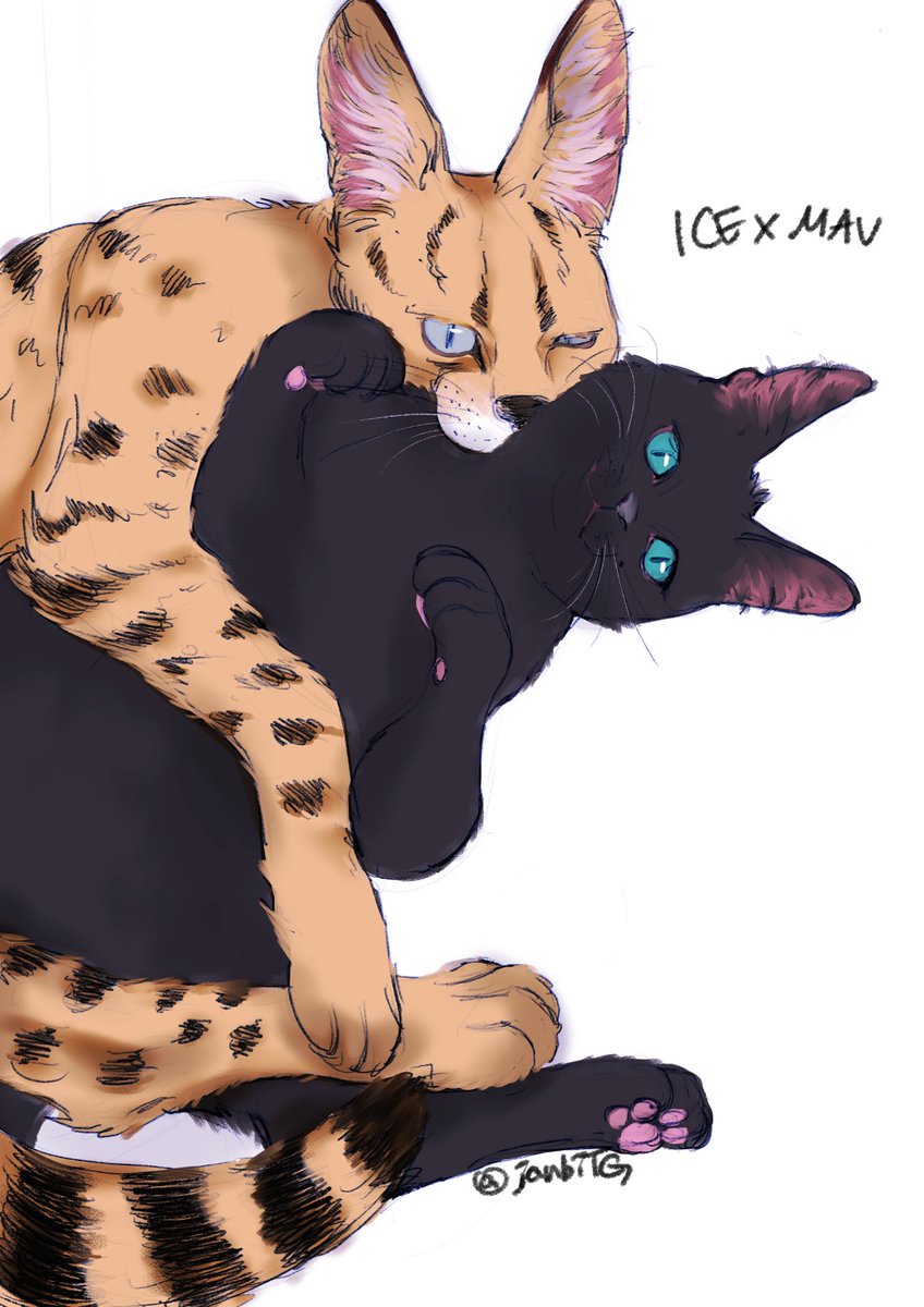 #icemav 🧊🐺
수인이 아니고 수(獸)