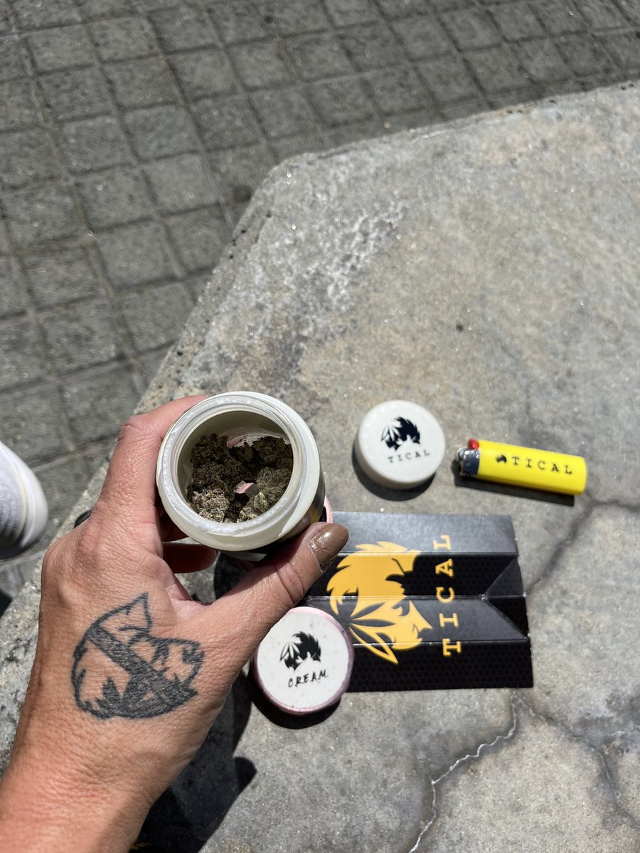 TatianaTical's tweet photo. Good Morning Beautiful 🌎 #wakeandbake #ticalofficial #themethod #judgementday #ironlungs #weedmaps #losangeles #weedlife #indica #hybrid #sativa #josephineandbillies #litco #peaceineverypuff #ticalinthewild #weed+women #medicine #newyear #2023 #love #peace #cannabis #music https://t.co/YTsSpDAwmj