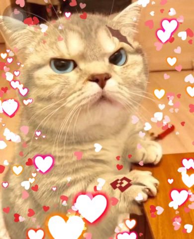 Prela_Prelati's tweet photo. https://t.co/CVnHV9ZLGP