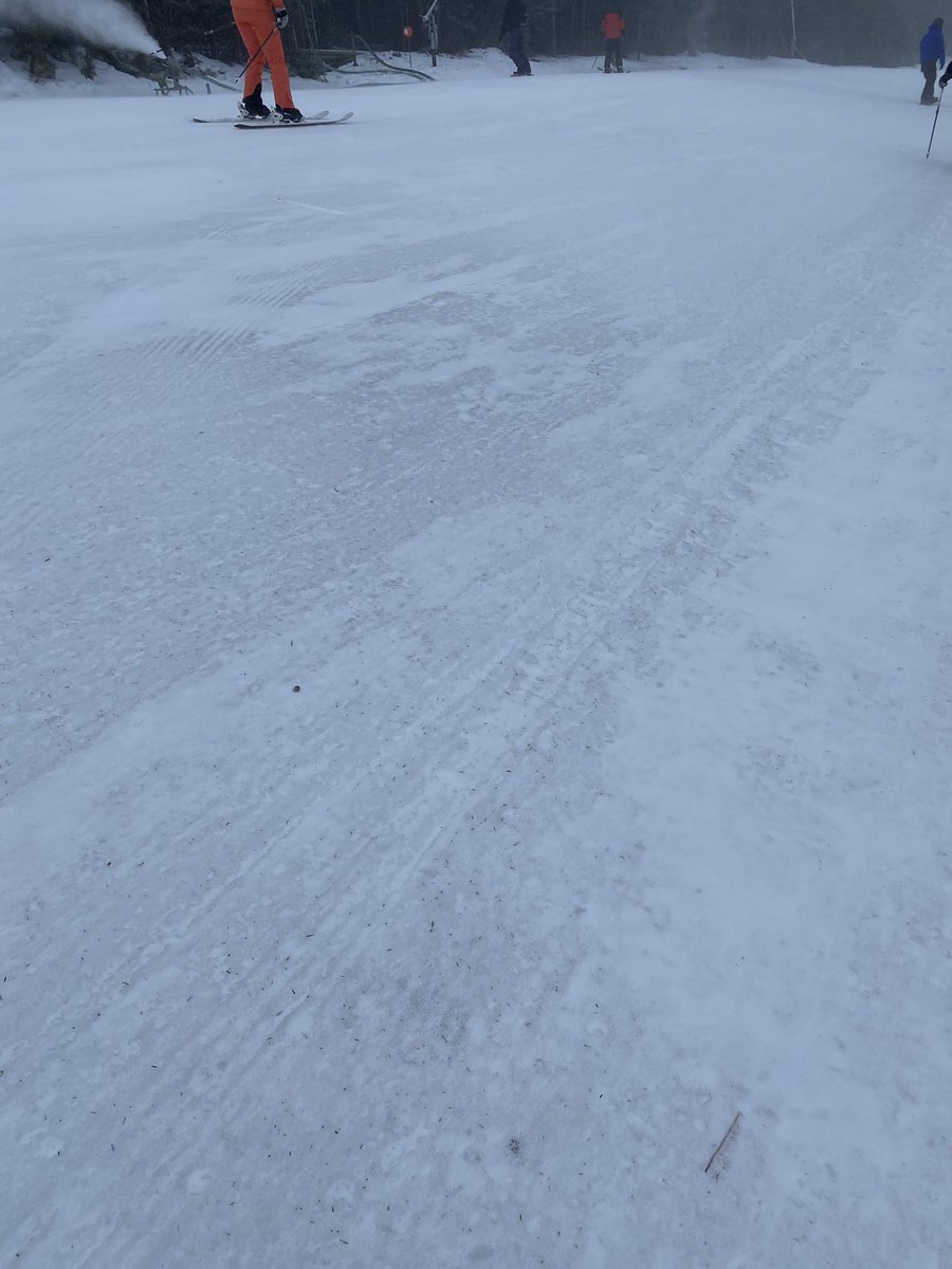 Lincoln in the Adirondacks ⛷️ tweet media