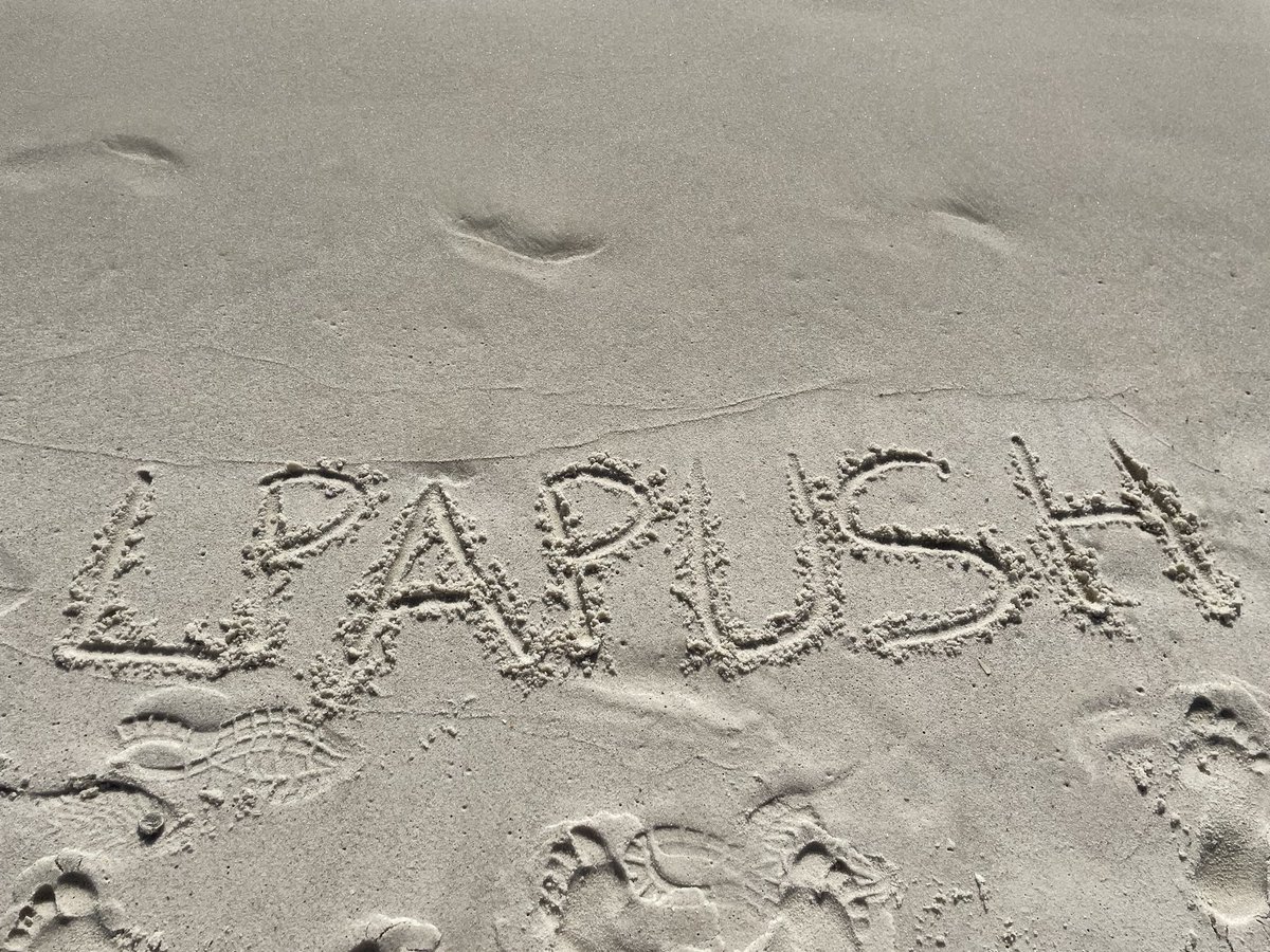 Mr_C_in_122's tweet image. The Civil War may be over but we’ve still got tons to learn about still!  Who’s ready to jump back in this week #LPAPUSH???