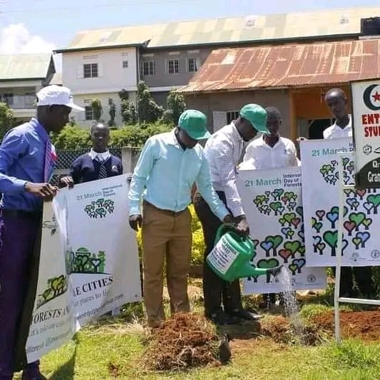 EverAssociatio1's tweet photo. Kindly donate to be part of this environmental saving project 
One dollar one tree https://t.co/JK1PxgIdLT