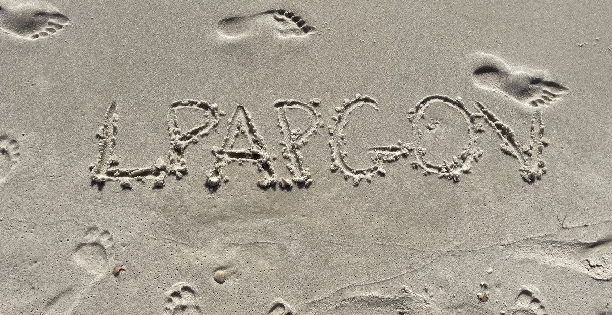 Mr_C_in_122's tweet image. Who’s ready?????? Just FOUR DAYS!!! #LPAPGov!