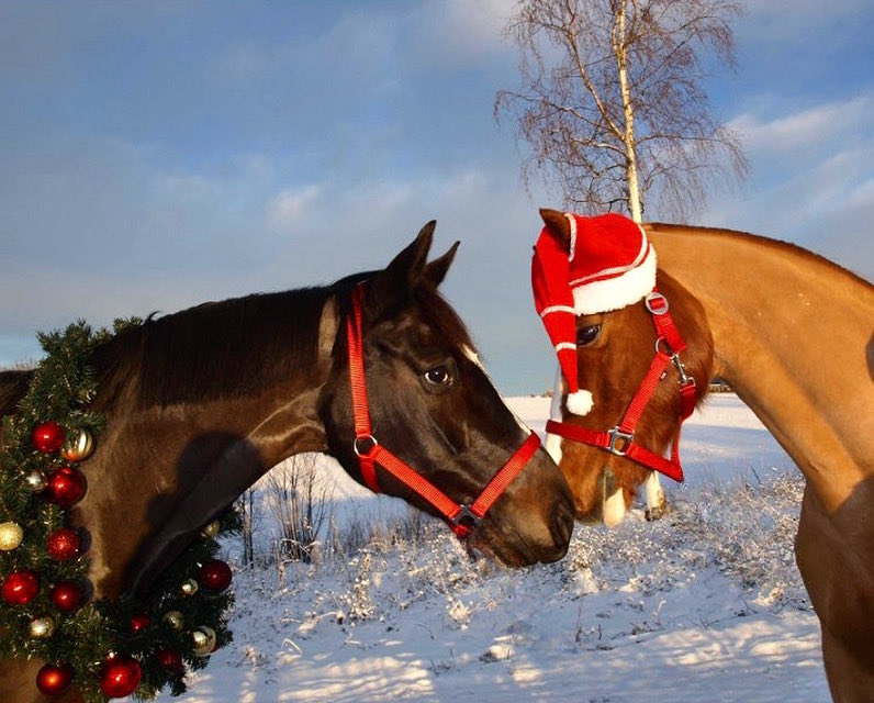 Happy New Year Everyone