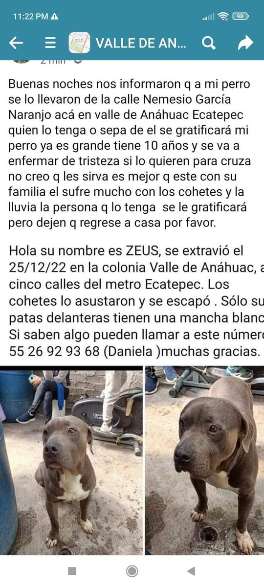 RT @Reporperros: #PerrosPerdidosMx #Zeus #ValledeAnahuac #Ecatepec #EdodeMéxico #RT #vuelveacasa #Gratificación @PrrosPerdidosMX @PerdiDogsMx @sebuscaCdMx
@MascotasSismo