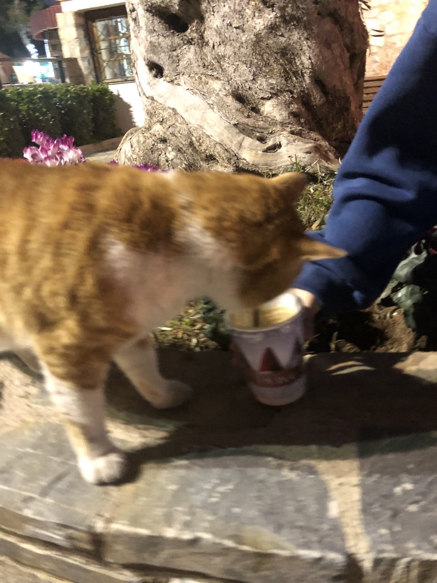 olethrioss's tweet photo. ΤΡΕΛΑΘΗΚΕ https://t.co/m1vEXeAPx3