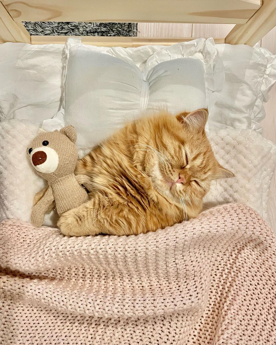 looking my baby sleep so comfortable than you hug your friend please wake up  and have your lunch 😁