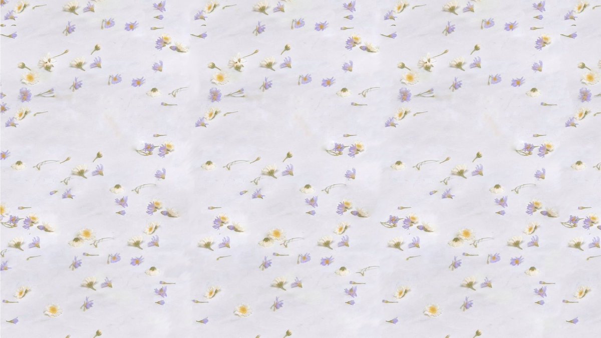 c0smicdaisy's tweet photo. #PENTAGON desktop wallpaper ⁎ ⁺˳✧༚
♡ feel free to use/save ♡
@CUBE_PTG #펜타곤 #데이지 #DAISY #WE_TH 🌼 https://t.co/ORvLbvVdmC