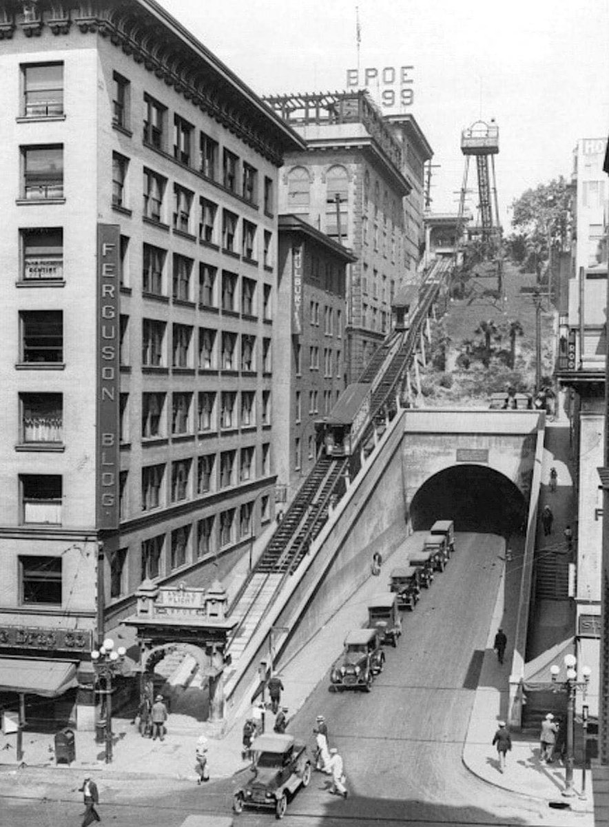 L.A. Dork tweet media