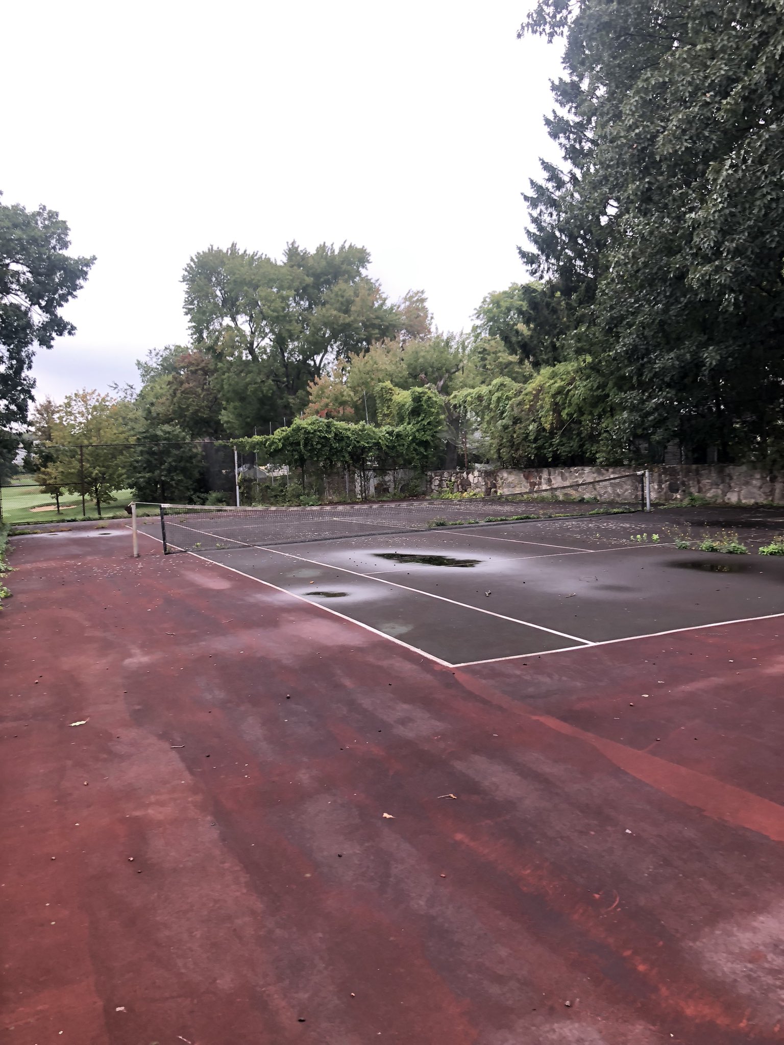 Pickleball Boston (PickleBoston) / Twitter