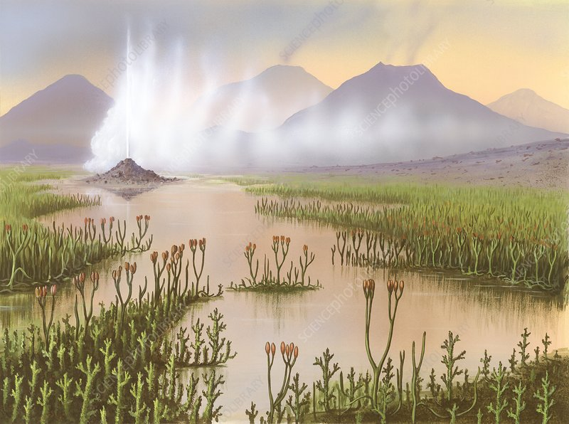 FossilBonanza's tweet photo. "What was the habitat?" This is a foundational question in paleontology. This week we'll compare and contrast the ancient to the modern and how paleontologists reconstruct food webs, scenery, and climate from a fossil site.
#HabitatWeek https://t.co/YMvL39hnxB