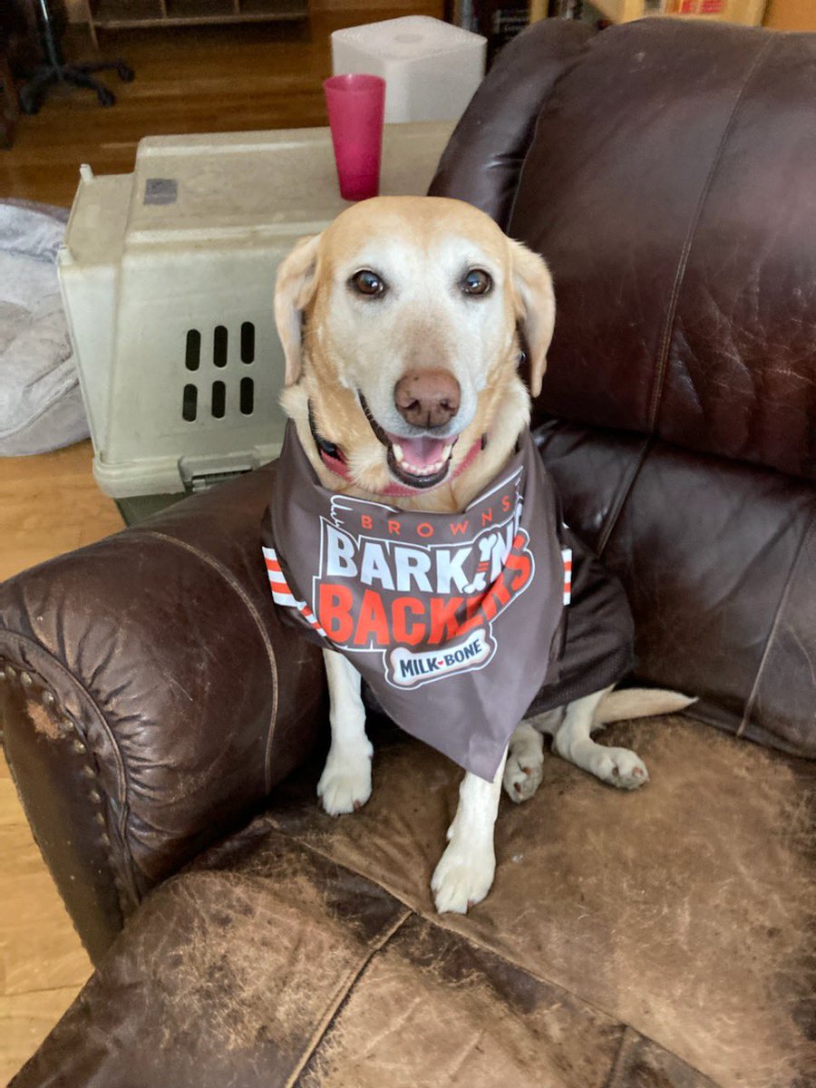 #BarkingBackers @Browns for love of the game at this point