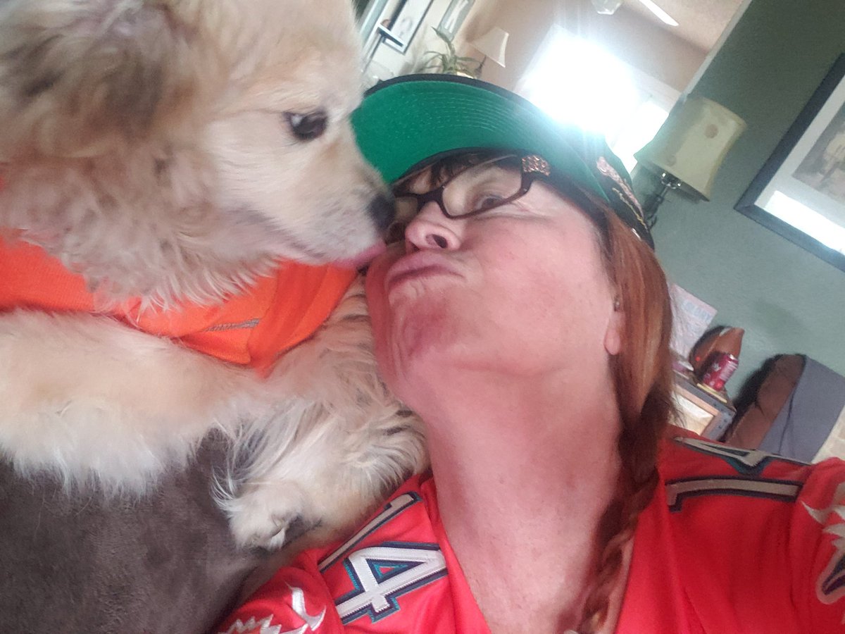 MushKat's tweet photo. #ReadyForTeddy

#FinsUp https://t.co/jDq4e1AhIu