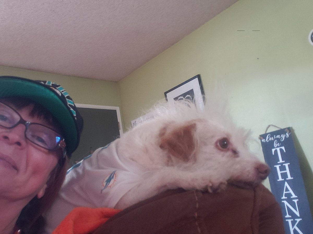 MushKat's tweet photo. #ReadyForTeddy

#FinsUp https://t.co/jDq4e1AhIu