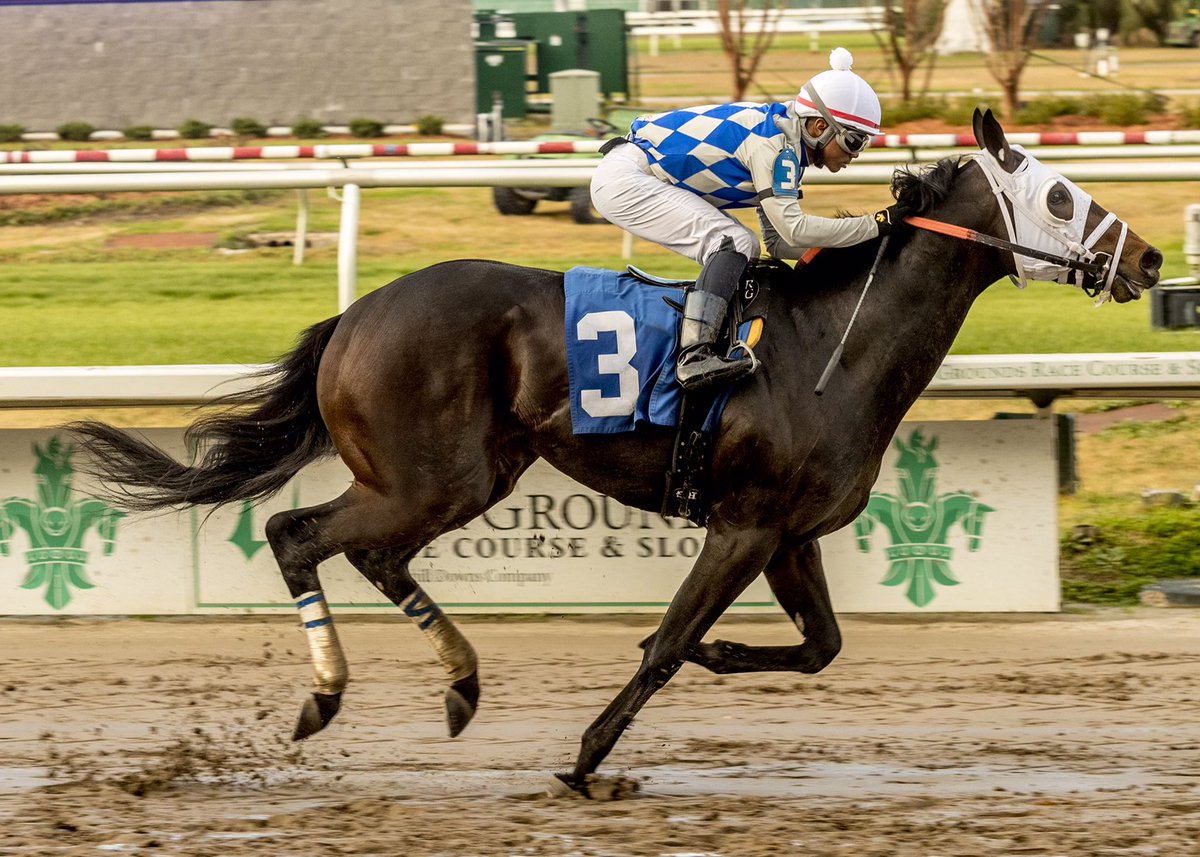 _Clark_Shepherd's tweet photo. Kupuna, a son of @DarleyStallions Hard Spun, wins a @fairgroundsnola allowance by 6 lengths. Trained by Bret Calhoun. Ridden by @ReyGutiJockey. Purchased by @OPTIMAL_Matings for @HighlanderTrai3 &amp; Wayne Sanders from @ElmTreeKY at @keenelandsales. Congrats to all! #OPTIMALMating https://t.co/lSWqkGTZmu