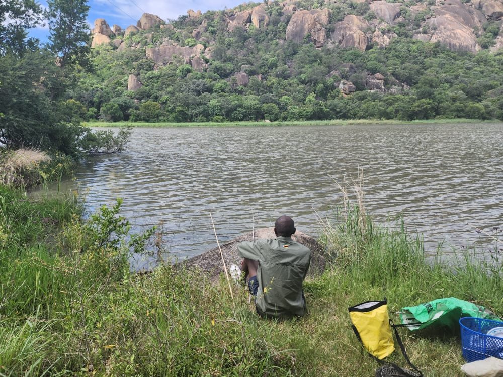 Mhlozbc's tweet photo. My country is beautiful #VisitMatopos #Zimparks https://t.co/pr4pMFYm1L