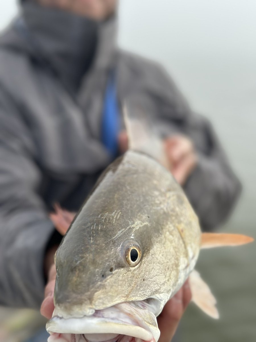 fishcontrolhead's tweet image. Looking forward to an amazing 2023!