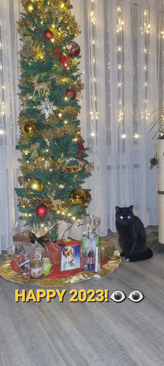 MPElrond⚡️ (@marianapanture1) on Twitter photo 