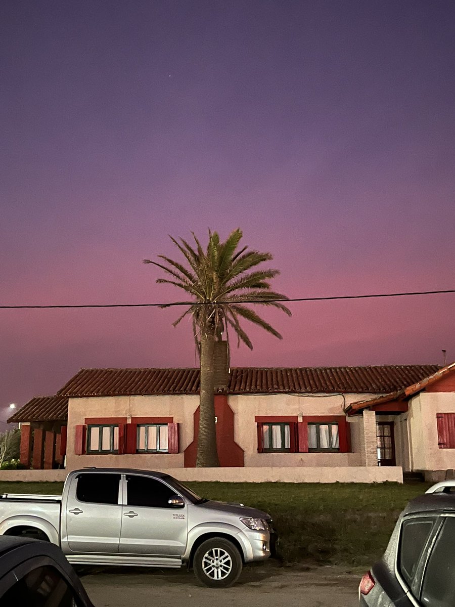 Sofia Krysiak tweet media